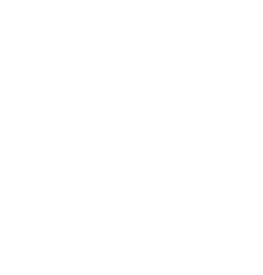 Sony Music Entertainment Belgium