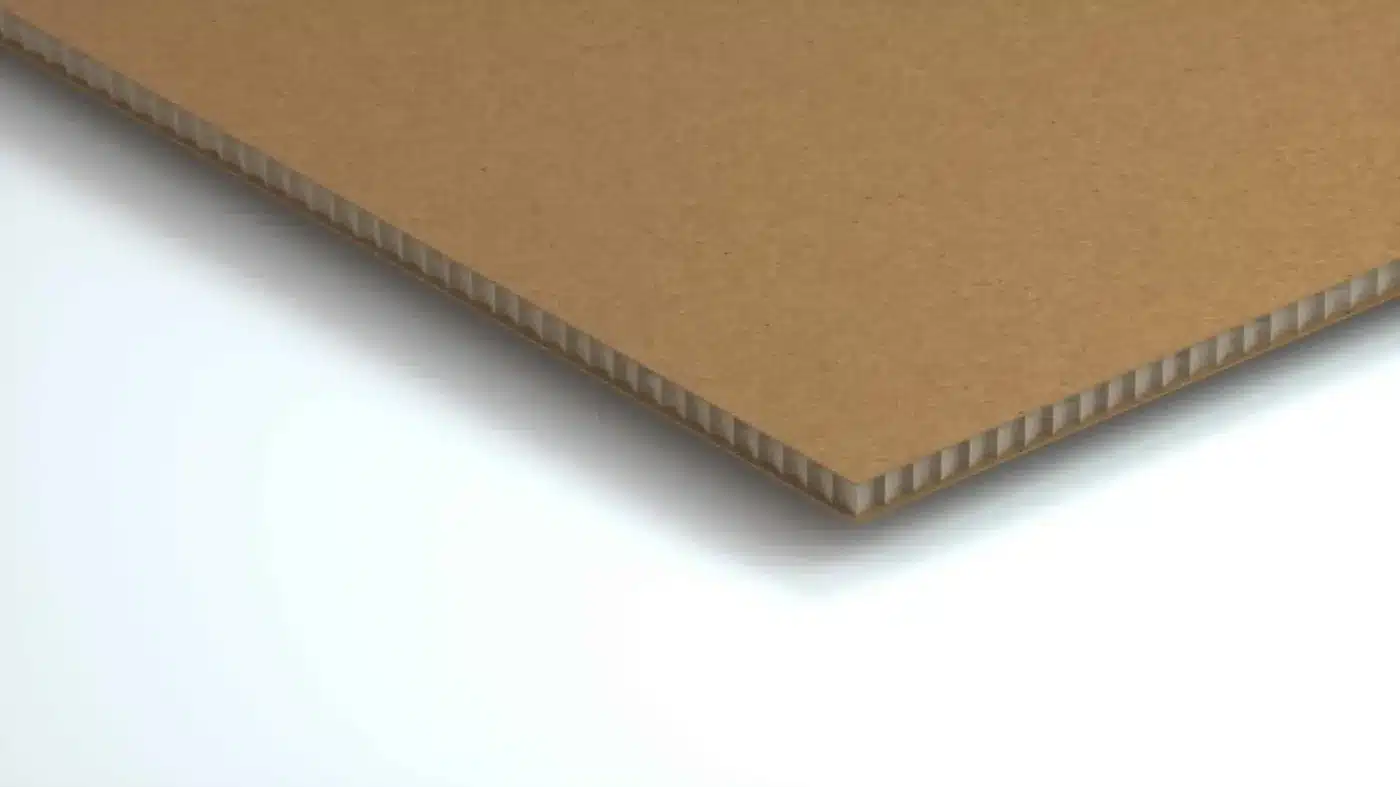 Carton Beelite Brun