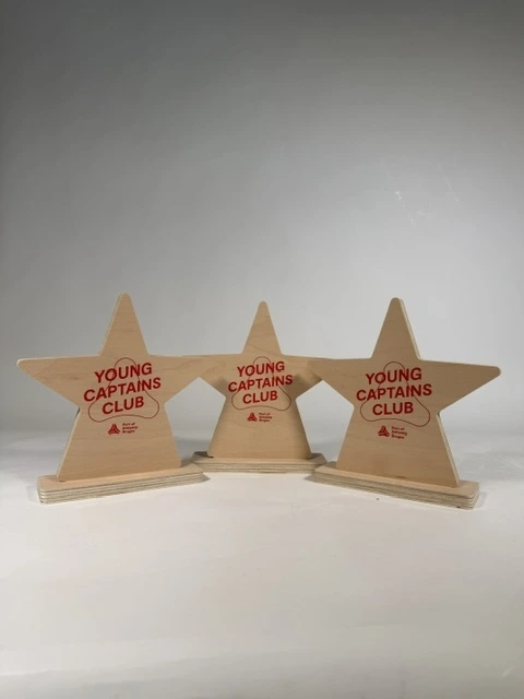 trophée bois forme étoile sur mesure