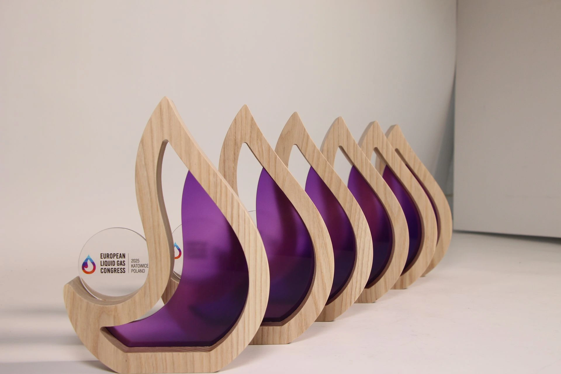 trophées bois et plexiglas coloré sur mesure