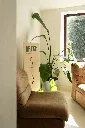 Artem_Produits_FloBalaes_Totems_006.webp